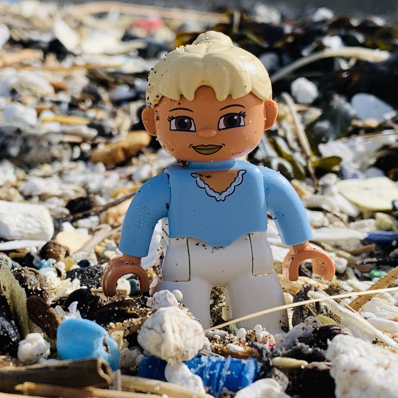 Женщина потратила 25 лет на поиск утонувших в море деталей Lego: Люди: Из  жизни: Lenta.ru