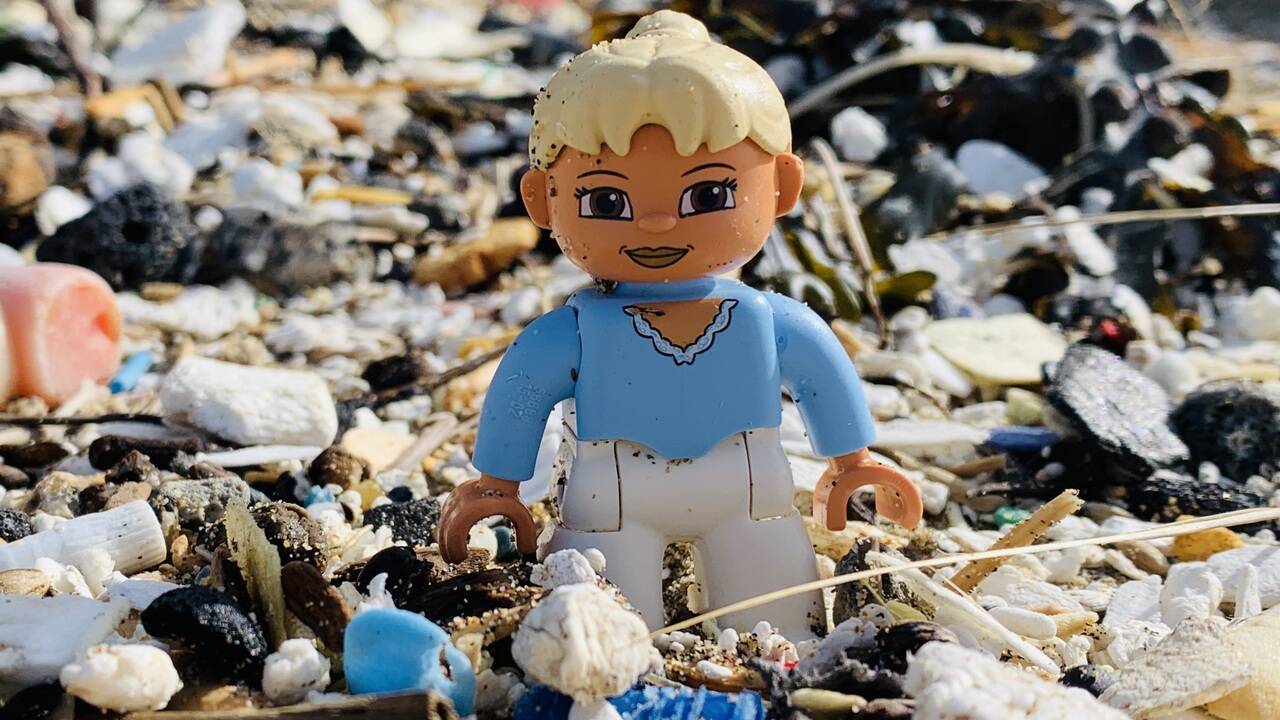 Женщина потратила 25 лет на поиск утонувших в море деталей Lego: Люди: Из  жизни: Lenta.ru