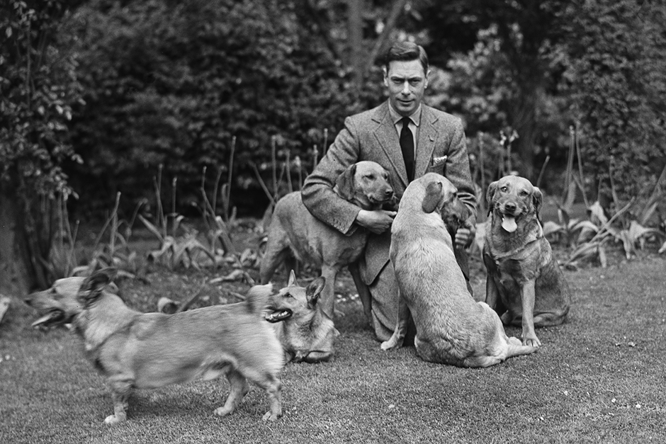 Георг VI и его собаки, 1936 год