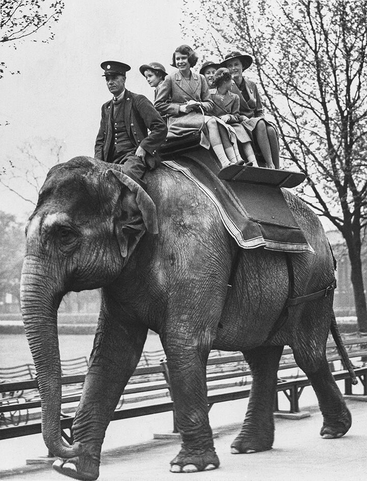 Джордж VI със съпругата си и дъщерите си Елизабет и Маргарет в Лондонския зоопарк, 1939 г
