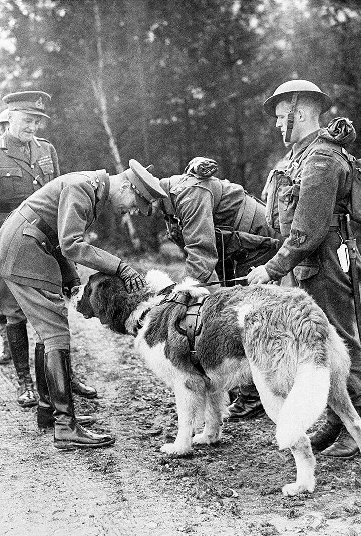 Георг VI знакомится с полковым псом канадских войск в Англии, 1941 год