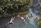 Жанровая фотография. Туристы во время купания в целебном радоновом источнике на острове Итуруп.