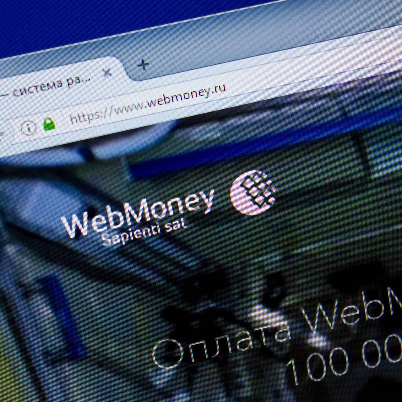 WebMoney пообещала найти способ остаться в России: Бизнес: Экономика:  Lenta.ru