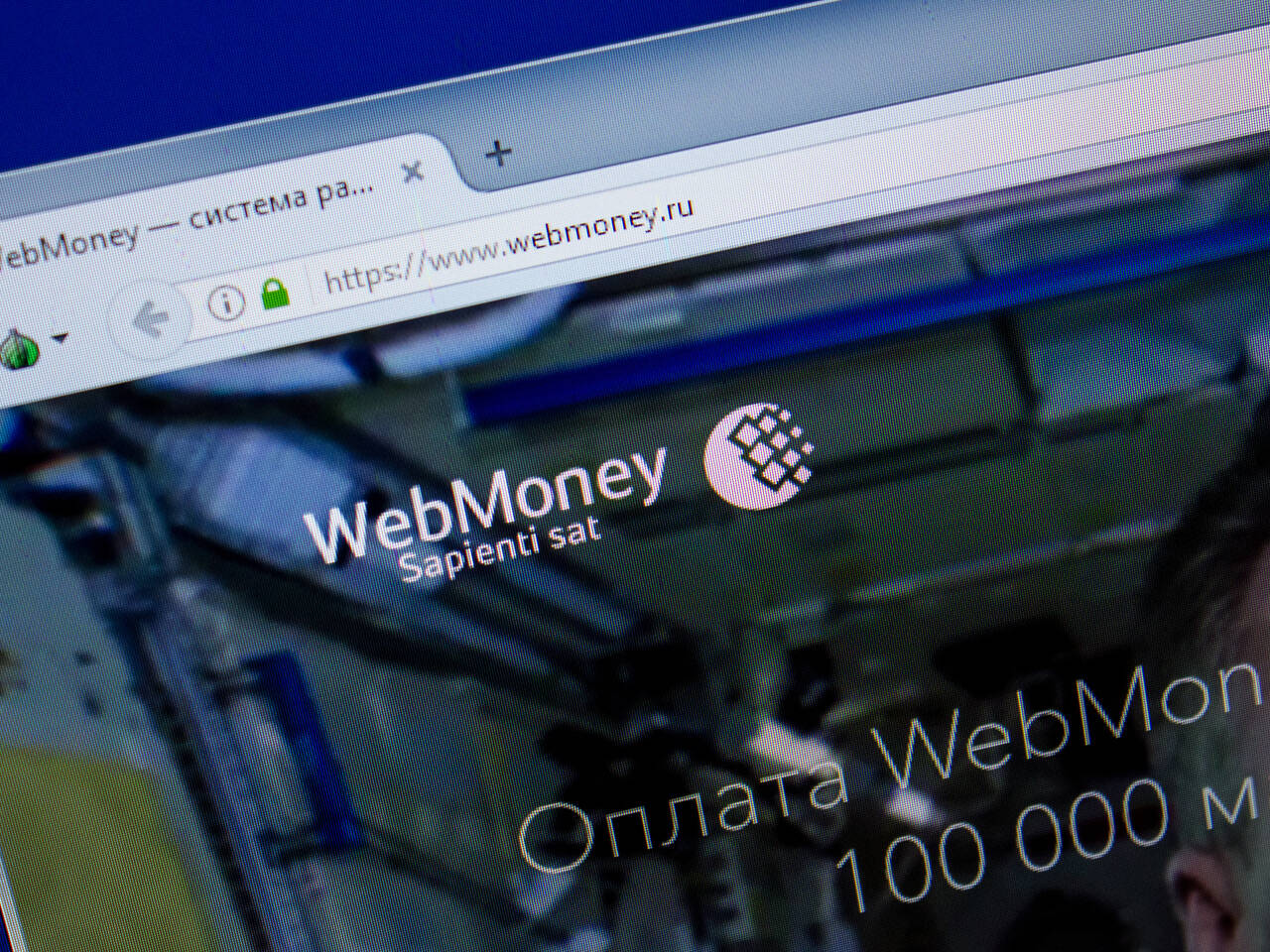 WebMoney пообещала найти способ остаться в России: Бизнес: Экономика:  Lenta.ru