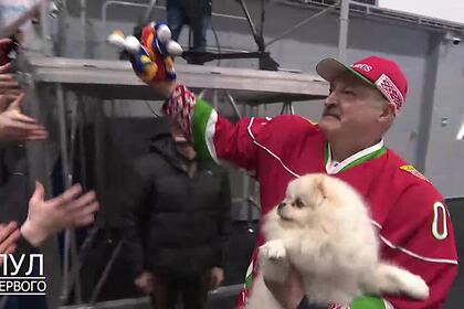 Нежности Лукашенко и его пса попали на видео