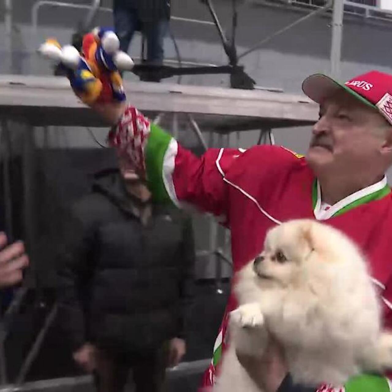 Собака Лукашенко