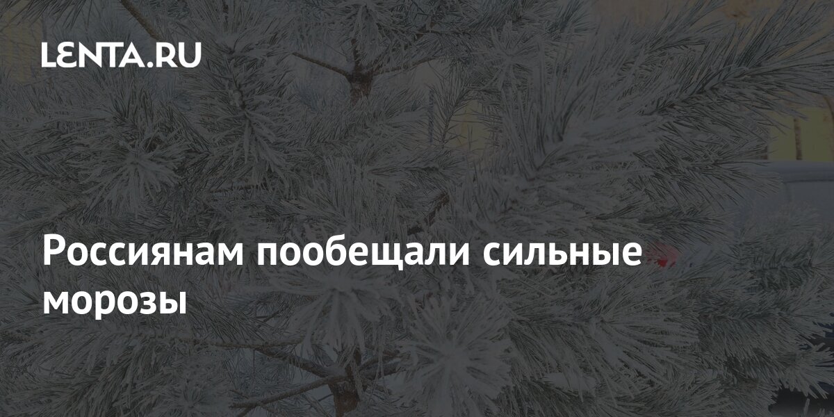 Россия вспрянет ото сна и на обломках самовластья напишут наши имена схема предложения