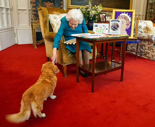 Елизавета II и одна из ее собак в 2022 году. Фото: Steve Parsons / AP