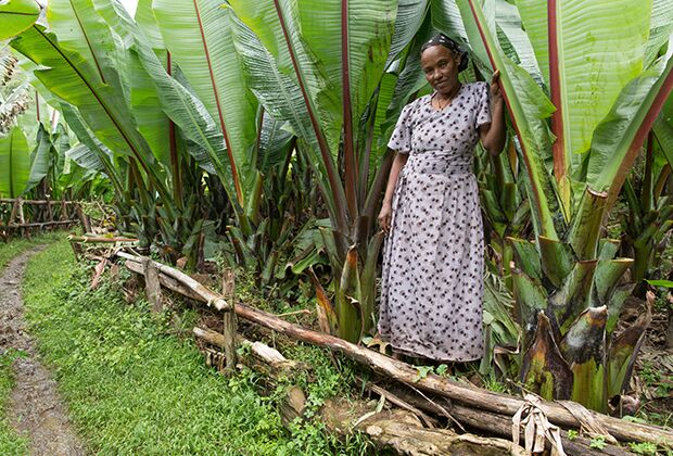 Село Гиби Гураге в Етиопия, жена в полето Енсета