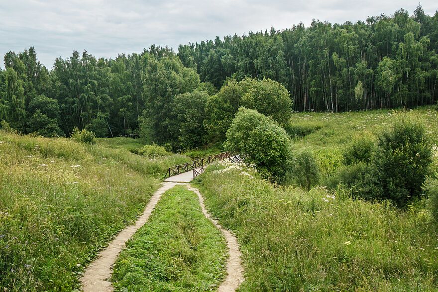 Вводная картинка