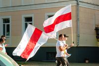 В Белоруссии рассказали о попытке срыва референдума 