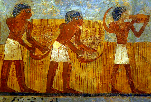 Земледельцы, Древний Египет. Изображение: Louvre Museum