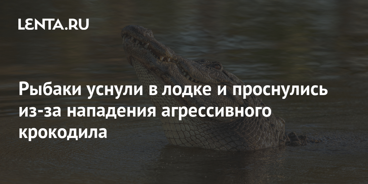 Уснули рыбаки у сонных огоньков ветрило