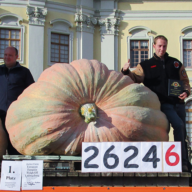 Бельгийский фермер Матиас Виллемейнс со своей тыквой весом 1190 килограммов