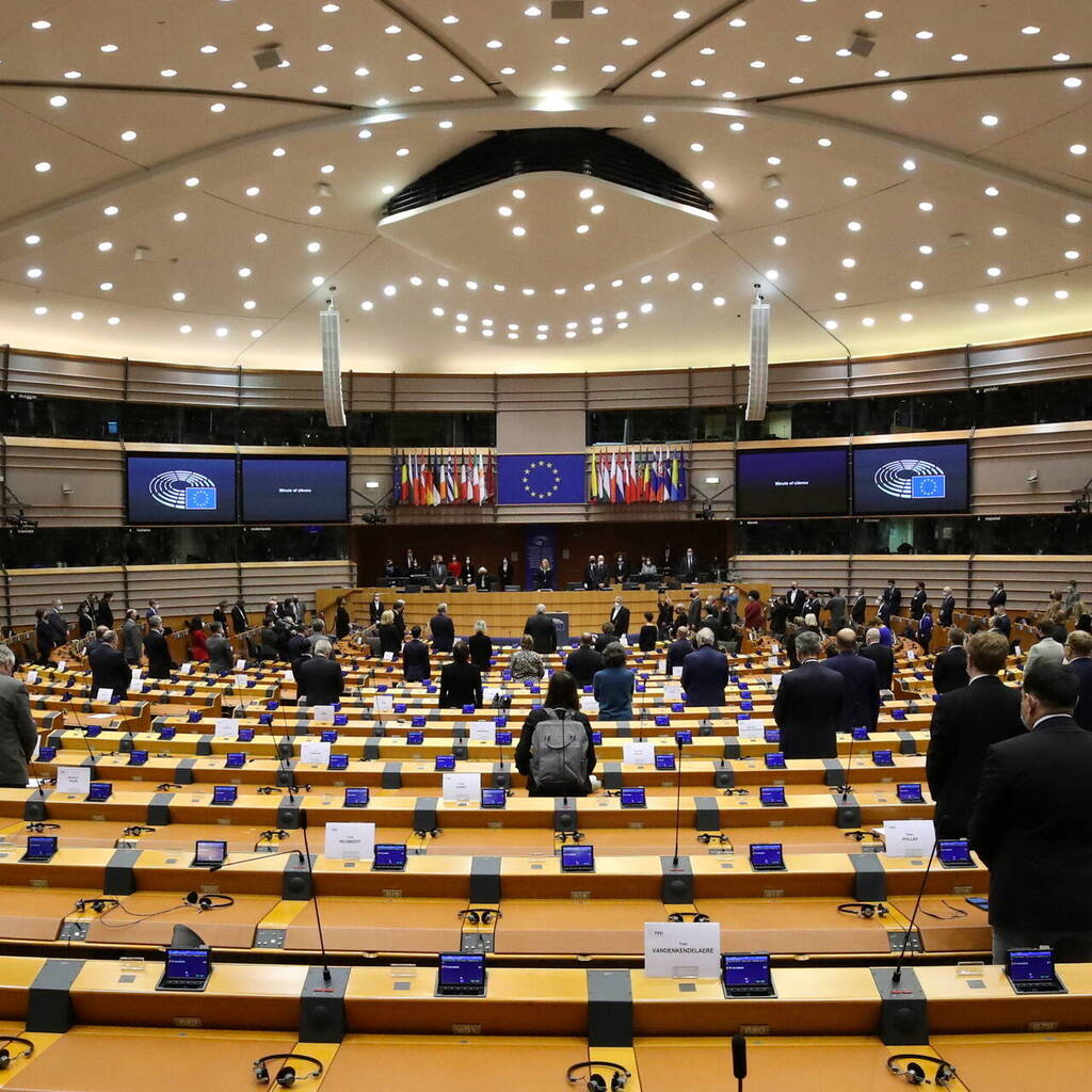 В 2019 в россии было выработано 1080. Фракции Европарламента. Фракции европейского парламента. Европейский парламент коллаж. Европарламентарии.