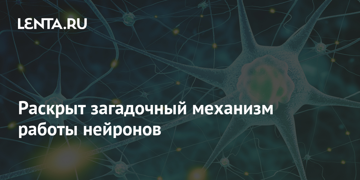 стих про очевидные вещи прикольный. загадочная коробка. раскрыть странно. раскрыть странно. раскрыть странно.