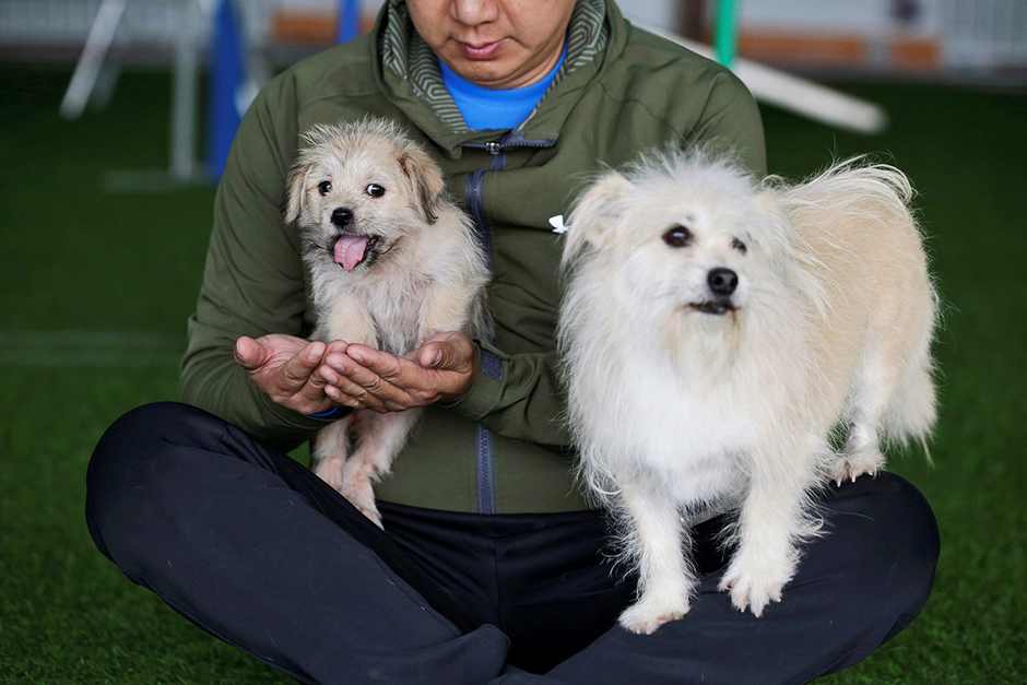 Хозяин со своей девятилетней собакой и ее двухмесячным клоном (справа налево)