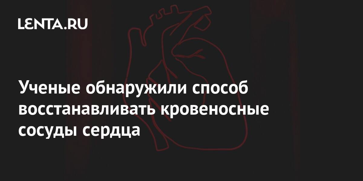 Не бывает невыполнимых задач бывают сердечные приступы в 30 картинка