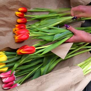 Выбор цветов на 8 марта