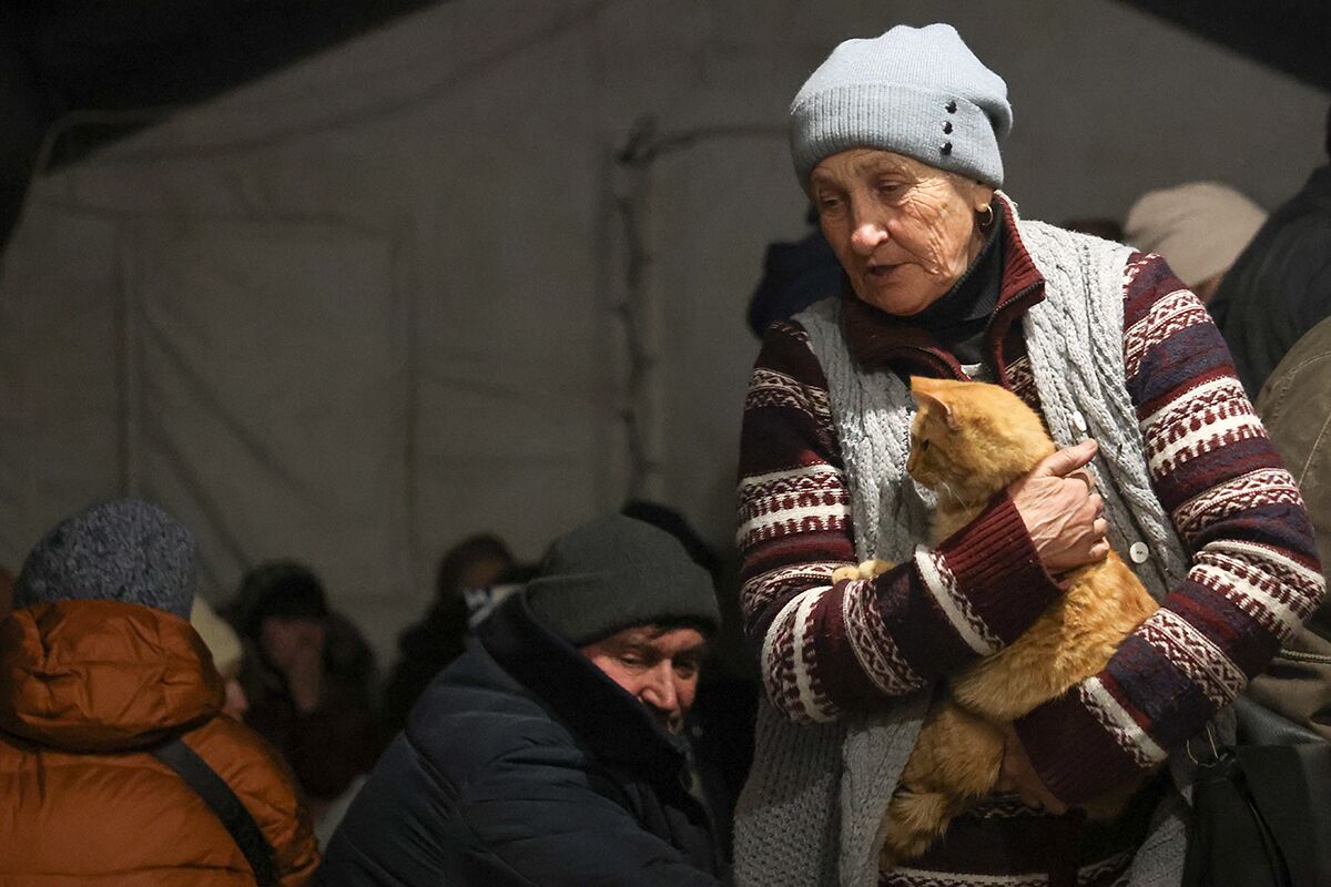 Эвакуированная из Мариуполя мирная жительница с котом в пункте оказания помощи МЧС ДНР, 5 марта
