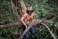 Последний листопад. Леса Амазонии оказались на грани гибели. Что будет, когда легкие планеты перестанут дышать?