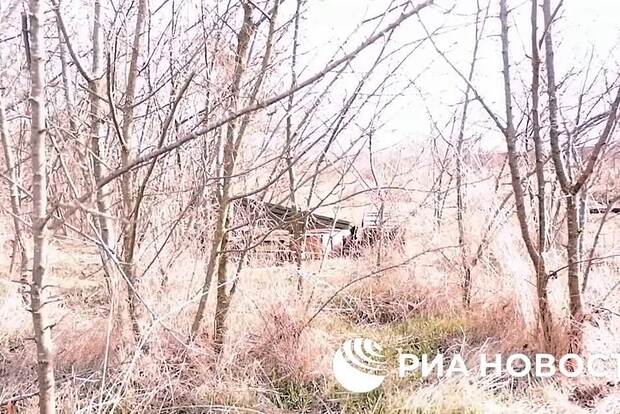 Вводная картинка