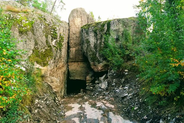 Вводная картинка