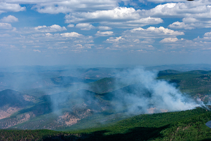 В России назвали самые сложные в плане лесных пожаров регионы