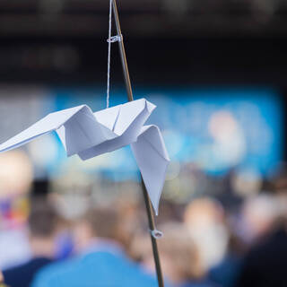 Названо условие стабилизации ситуации с офисной бумагой в России