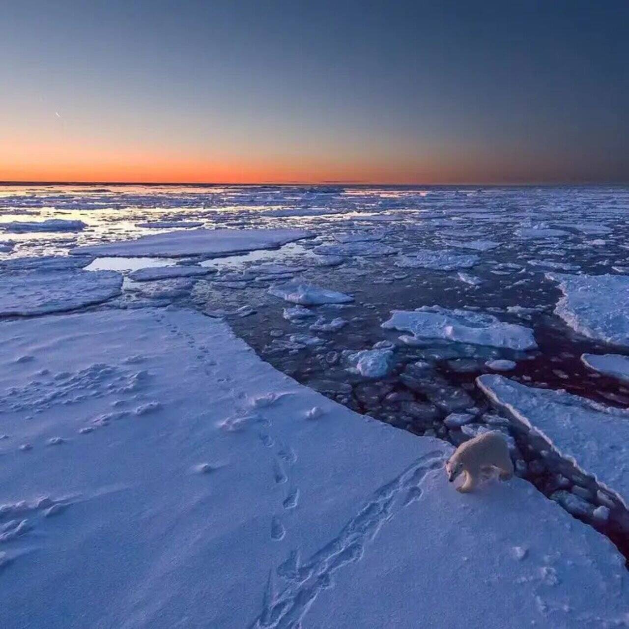 Как меняется природа арктических морей с запада. Арктика Северный Ледовитый океан. Арктическая и антарктическая пустыня. Северный Ледовитый океан Полярная ночь. Антарктическая Полярная пустыня.