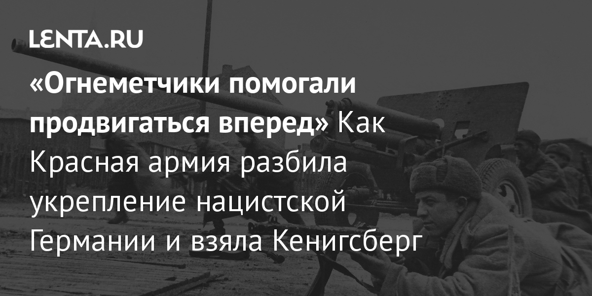 Для всех зверей не хватит «Зоопарков»