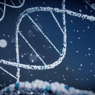 Разработан неразрушающий метод изучения древнего ДНК
