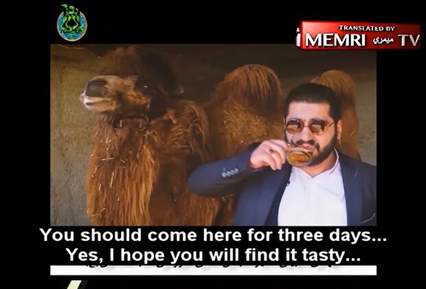 Житель Ирана Мехди Сабили заявил в соцсетях о вкусовых качествах и целебной силе мочи верблюда и назвал ее лекарством от коронавируса и других проблем с легкими