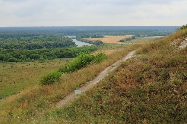 Вводная картинка