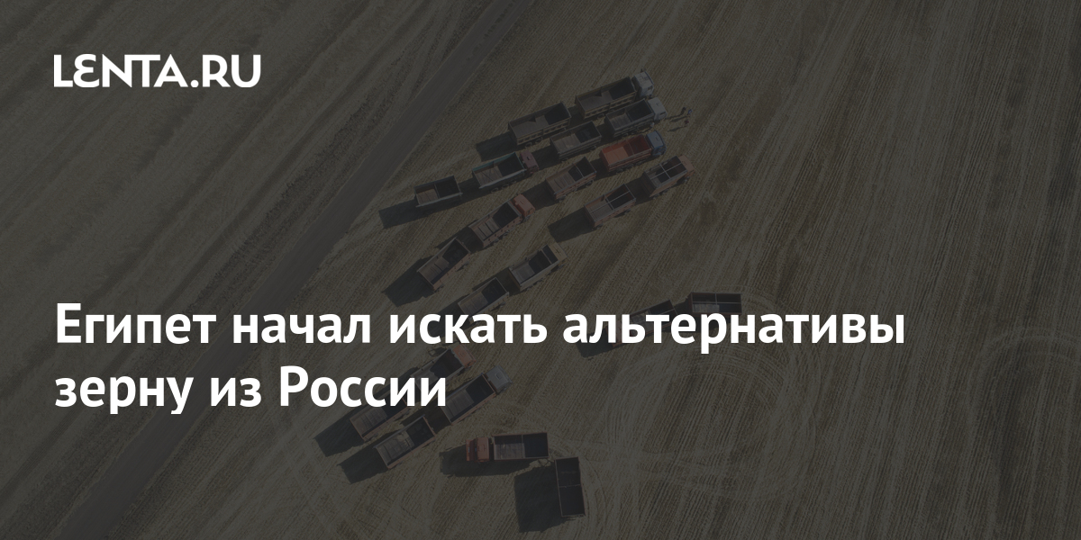 школьница утонула в реке. вышки 5 g в городе страшная. найдена альтернатива громоздким вышкам. найдена альтернатива громоздким вышкам. фильм вышка кадры из фильма.