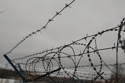 Киргизия и Таджикистан начали отвод сил от границы