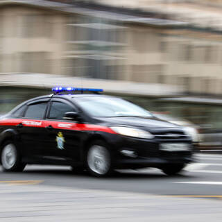 Полоска вышитая Полиция грудь на липе
