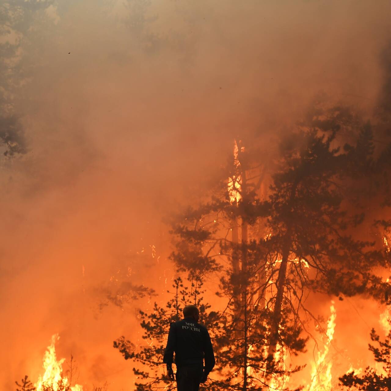 Лесные пожары в Свердловской области 2021
