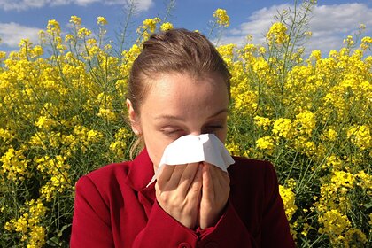 Названы провоцируемые аллергией на пыльцу опасные болезни