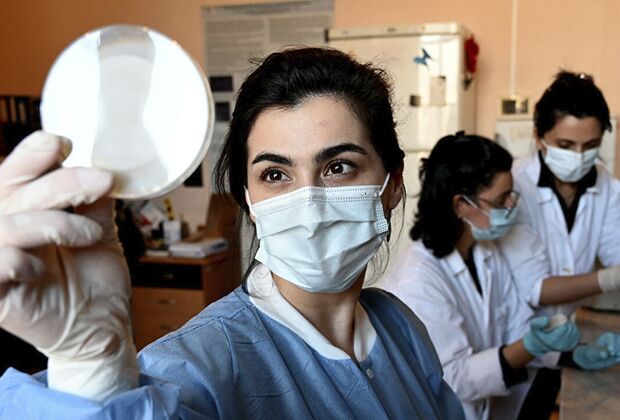 Исследователи из Тбилисского института бактериофагов