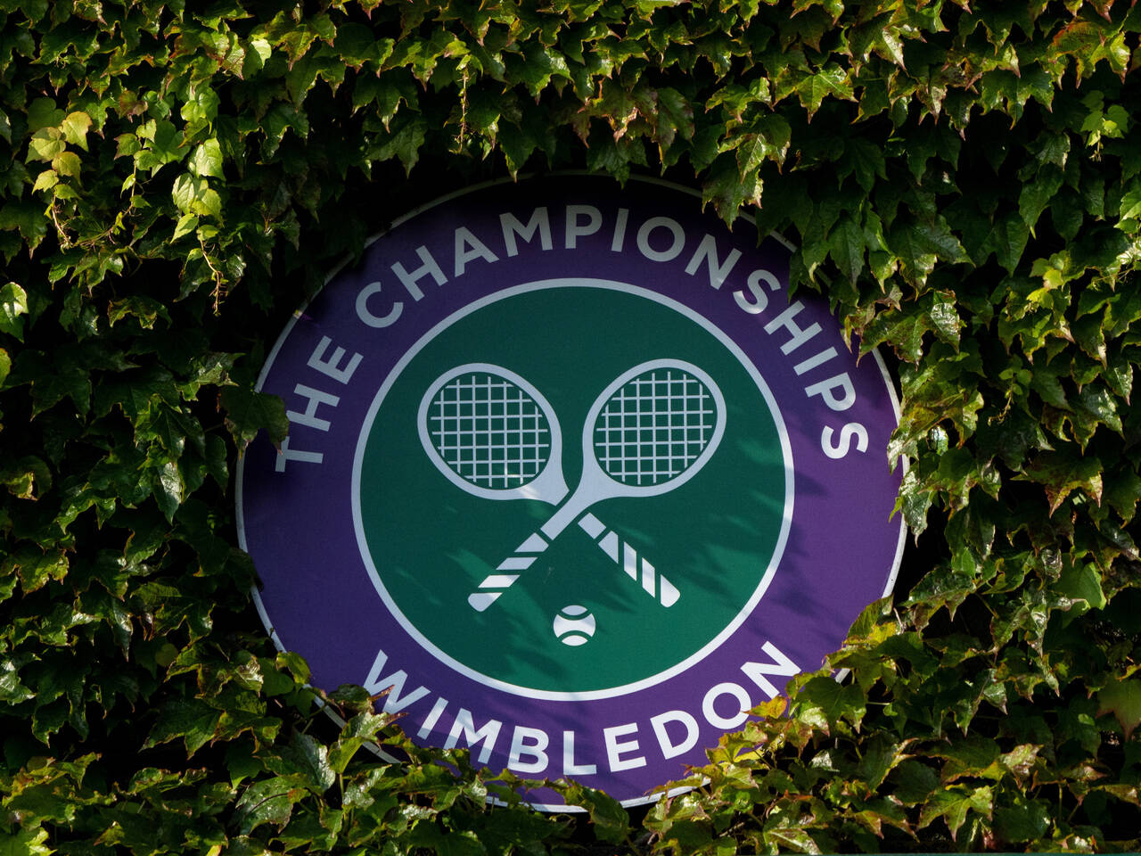 Логотип уимблдонского теннисного турнира фото