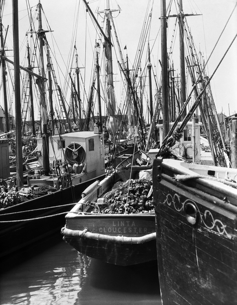 Рыбацкие лодки в порту Нью-Йорка