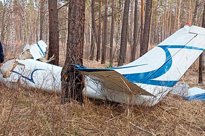 Состояние пострадавшего при падении самолета под Красноярском назвали тяжелым