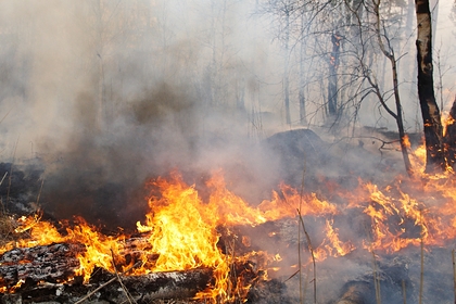 Режим ЧС объявили в российском регионе из-за пожаров