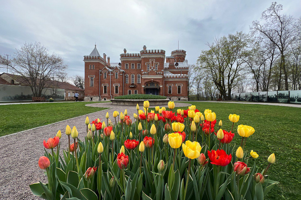 Замок принцессы Ольденбургской. Фото: Мария Фролова
