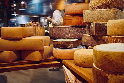 В российском регионе начали производить французский сыр с плесенью