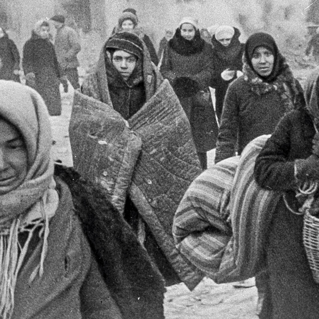 Блокадные крысы. Как ленинградские бандиты вступили в сговор с немцами и  обрекали тысячи горожан на голодную смерть: Криминал: Силовые структуры:  Lenta.ru