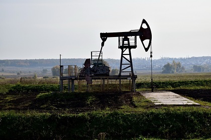 В Германии указали на «слабые перспективы» эмбарго ЕС на российскую нефть