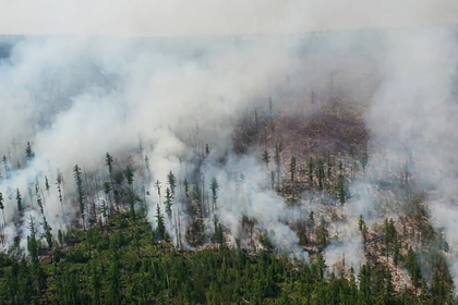 Еще в одном российском регионе объявлен режим ЧС из-за лесных пожаров