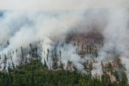 Площадь лесных пожаров в Иркутской области увеличилась в полтора раза за сутки